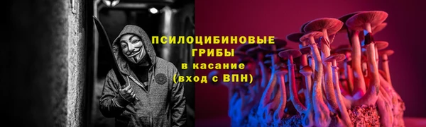 а пвп мука Баксан
