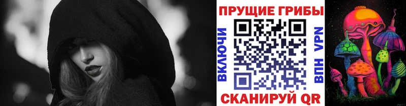 Галлюциногенные грибы Cubensis кракен как войти Верхотурье даркнет сайт